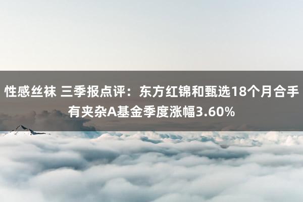 性感丝袜 三季报点评：东方红锦和甄选18个月合手有夹杂A基金季度涨幅3.60%