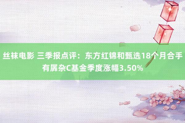 丝袜电影 三季报点评：东方红锦和甄选18个月合手有羼杂C基金季度涨幅3.50%