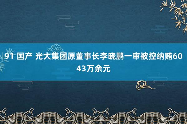 91 国产 光大集团原董事长李晓鹏一审被控纳贿6043万余元