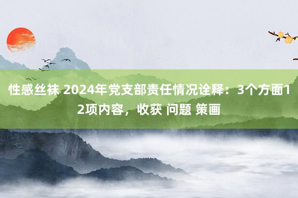 性感丝袜 2024年党支部责任情况诠释：3个方面12项内容，收获 问题 策画