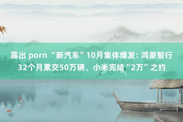 露出 porn “新汽车”10月集体爆发: 鸿蒙智行32个月累交50万辆、小米完结“2万”之约