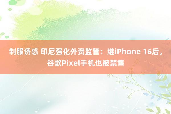 制服诱惑 印尼强化外资监管：继iPhone 16后，谷歌Pixel手机也被禁售