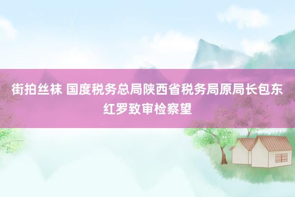 街拍丝袜 国度税务总局陕西省税务局原局长包东红罗致审检察望