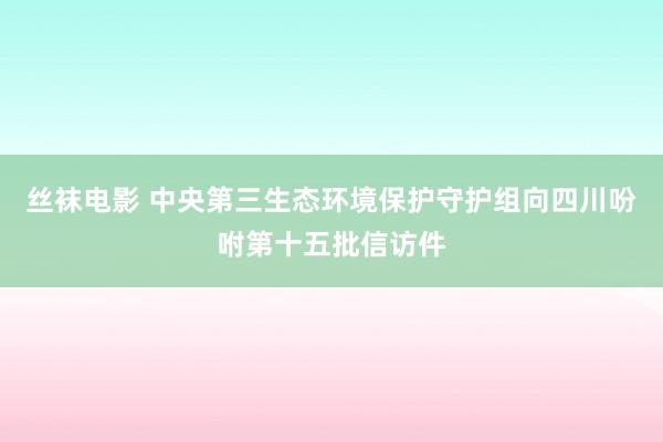 丝袜电影 中央第三生态环境保护守护组向四川吩咐第十五批信访件