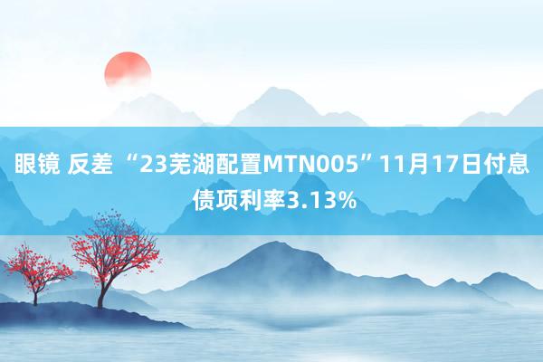 眼镜 反差 “23芜湖配置MTN005”11月17日付息 债项利率3.13%