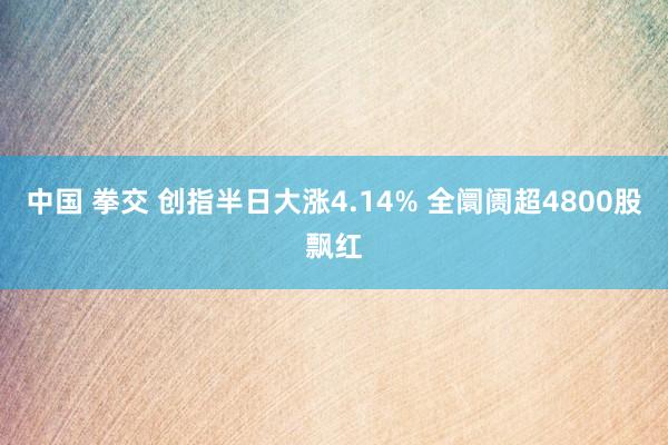 中国 拳交 创指半日大涨4.14% 全阛阓超4800股飘红