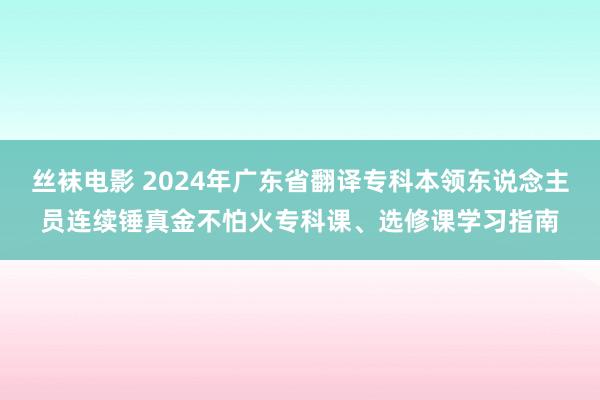 丝袜电影 2024年广东省翻译专科本领东说念主员连续锤真金不怕火专科课、选修课学习指南