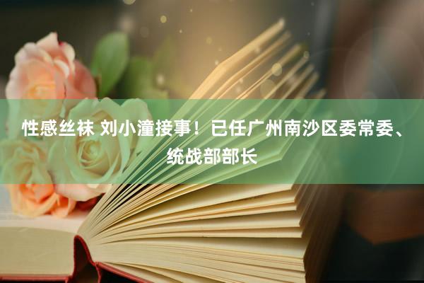 性感丝袜 刘小潼接事！已任广州南沙区委常委、统战部部长