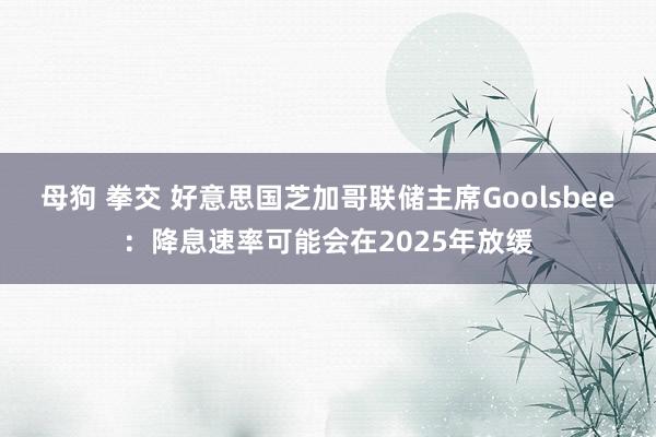 母狗 拳交 好意思国芝加哥联储主席Goolsbee：降息速率可能会在2025年放缓