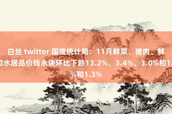 白丝 twitter 国度统计局：11月鲜菜、猪肉、鲜果和水居品价钱永诀环比下跌13.2%、3.4%、3.0%和1.3%