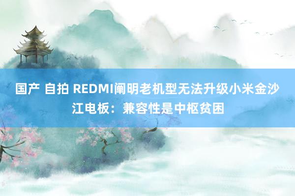 国产 自拍 REDMI阐明老机型无法升级小米金沙江电板：兼容性是中枢贫困