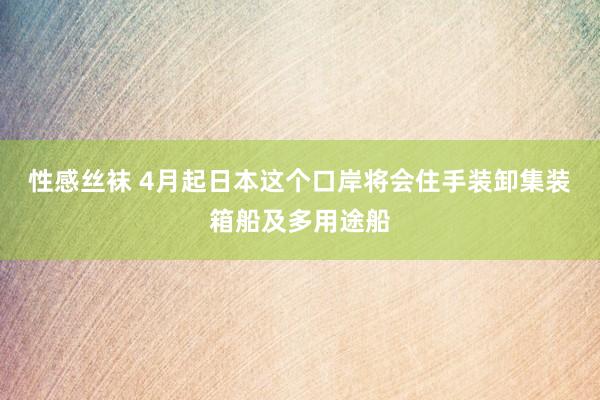 性感丝袜 4月起日本这个口岸将会住手装卸集装箱船及多用途船