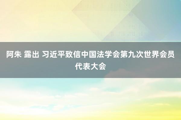 阿朱 露出 习近平致信中国法学会第九次世界会员代表大会