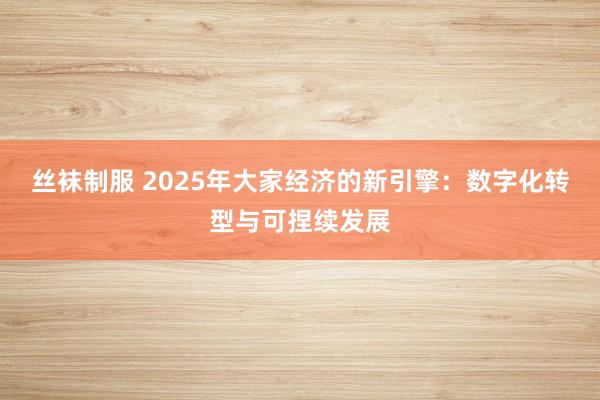 丝袜制服 2025年大家经济的新引擎：数字化转型与可捏续发展