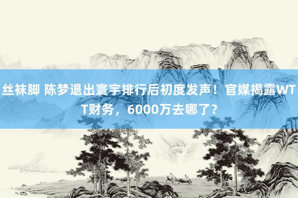 丝袜脚 陈梦退出寰宇排行后初度发声！官媒揭露WTT财务，6000万去哪了？